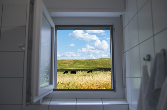 Ein geööfnetes Badfenster führt hinaus auf eine Weide mit Kühen.