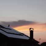 Man sieht ein Stück eines Daches, auf dem Solarzellen befestigt sind. Im Hintergrund des vielleicht energieautarken Hauses sieht man den vom Sonnenaufgang eingefärbten Himmel.