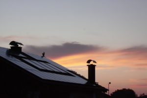 Man sieht ein Stück eines Daches, auf dem Solarzellen befestigt sind. Im Hintergrund des vielleicht energieautarken Hauses sieht man den vom Sonnenaufgang eingefärbten Himmel.