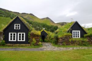 Zwei Häuser stehen in einer grünen Landschaft nebeneinander, beide mit Dachbegrünung.